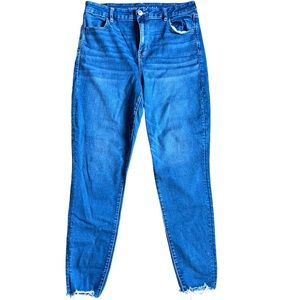 Women’s American Eagle Curvy Hi Rise Jeggings Blue Size 16 Long